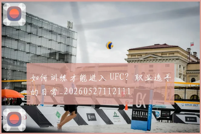 如何训练才能进入 UFC？职业选手的日常_20260527112111